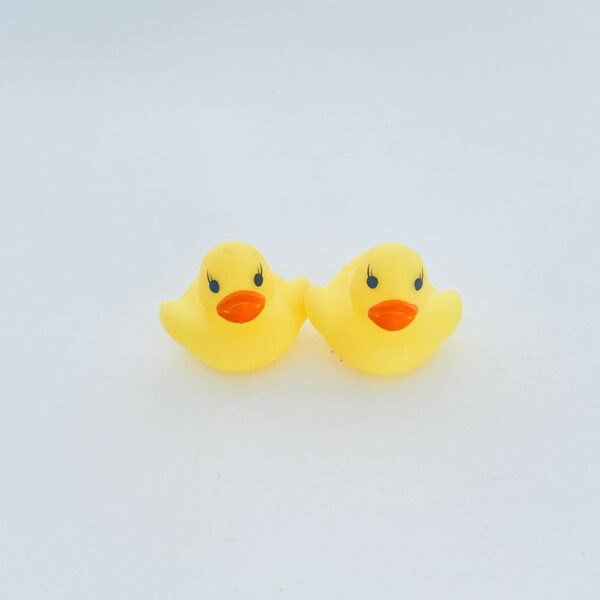 Patito de plástico (4 piezas)